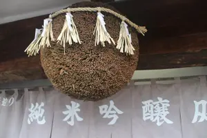 Tour image of KOBE Sake brewery PRIVATE walking tour with Local guide