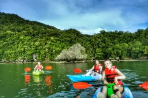 Tour image of Langkawi Sunset Kayaking Adventure with nature guide