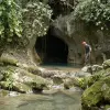 Image of Swimming