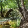 Image of Eco Tours