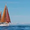 Image of On the Water