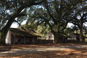 Tour image of Oak Alley or Laura Plantation Tour from New Orleans