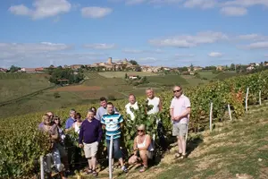 Tour image of Beaujolais Wine Discovery - Private Tour - Half Day