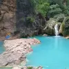 Image of Nature Walks