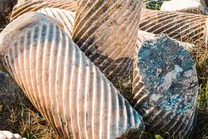 Tour image of Full-Day Ephesus Tour from Antalya with Lunch