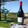 Image of Wine Making Workshops