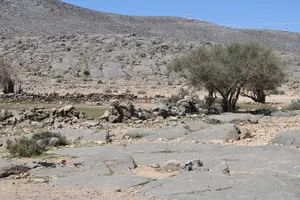 Tour image of Mountain Safari in Jebel Harim