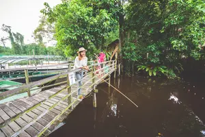 Tour image of Klias Wildlife Safari River Cruise from Kota Kinabalu