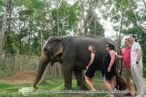 Tour image of Guide Tour to Khaolak Elephant Sanctuary in Small Group