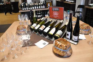 Tour image of Discovery tasting of Alsace wines in Strasbourg