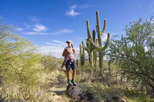 Tour image of Scottsdale Desert Classic Guided Hiking Adventure