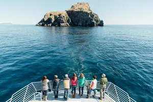 Tour image of Kenai Fjords National Park Glacier & Wildlife Tour from Seward