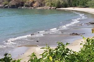 Tour image of Panama City's Top Tour