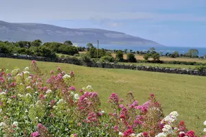 Tour image of The Burren and Cliffs of Moher Private Tour from Galway