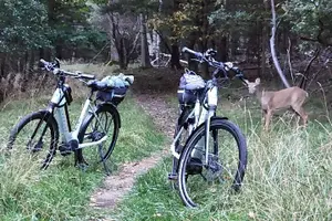Tour image of Self-Guided Ebike Tours of Acadia National Park Carriage Roads