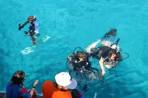Tour image of Scuba Diving from Marmaris Area