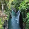 Image of Nature Walks