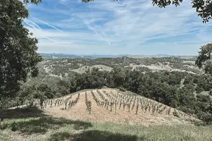Tour image of Private Wine Tour in Paso Robles