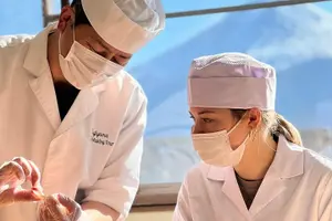 Tour image of Fujisan Sushi Making Lesson