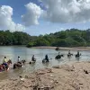 Image of Nature and Wildlife Tours