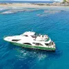 Image of Whale Watching