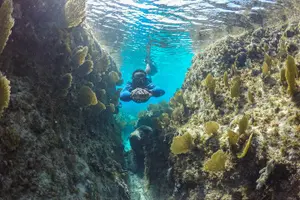 Tour image of Snorkel Eco Tour
