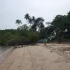 Image of Kayaking Tours