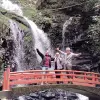 Image of Culture