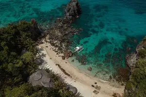 Tour image of Full Day Apo Island Tour from Dumaguete
