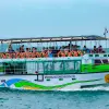 Image of Whale Watching
