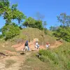 Image of Pack Animal Tours