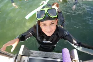 Tour image of Private 'OG' Manatee Snorkel Tour with Guide for up to 10 people
