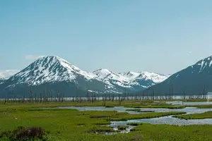 Tour image of Hatcher Pass Wildlife and Scenic Tour, from Anchorage
