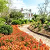 Image of Plantation Tours