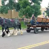 Image of Horseback Riding