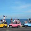 Image of Safaris