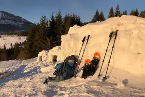 Tour image of Full-Day Snowshoeing in High Tatras with Local Mountain Guide from Poprad