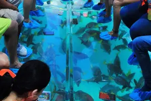 Tour image of Adventures of the Lost Atlantis Bimini Road
