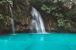 Tour image of Whale Shark Watching & Tumalog Falls & Kawasan Falls