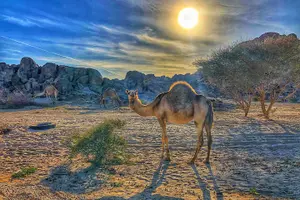 Tour image of Private Moon Valley Hike Experience in Jeddah
