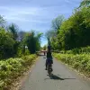 Image of Bike Rentals
