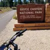 Image of Mountain Bike Tours
