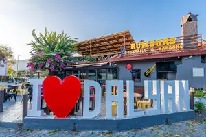 Tour image of Dalyan Mud Baths and Turtle Beach Day Tour From Fethiye
