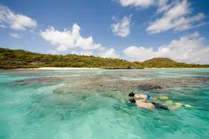 Tour image of FANTASTIC Green Island and Sea Turtles - Half Day share boat trip
