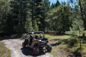 Tour image of 4h Buggy Tour • Arcos de Valdevez • Peneda Gerês