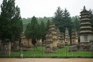 Tour image of Luoyang Private Day Tour of Shaolin Temple and Longmen Grottoes