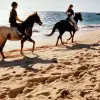 Image of Horse Racing