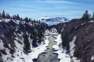 Tour image of 5 Hour Tour to the Yukon Border with Suspension Bridge