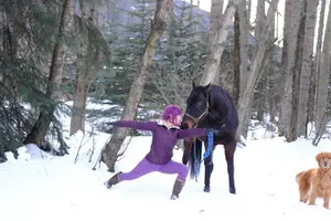 Tour image of Yoga with Horses
