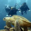 Image of On the Water